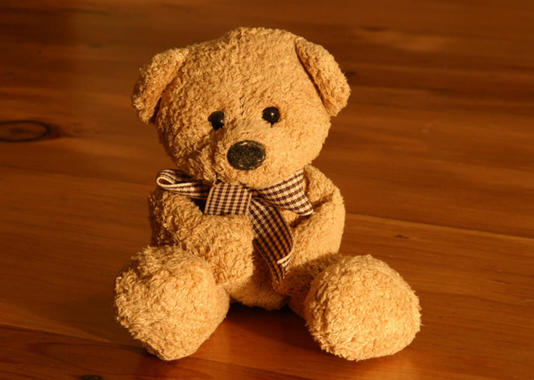 teddy bear