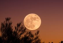 harvest moon - photo by Ganapathy Kumar on Unsplash