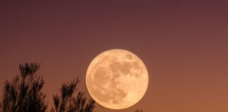 harvest moon - photo by Ganapathy Kumar on Unsplash