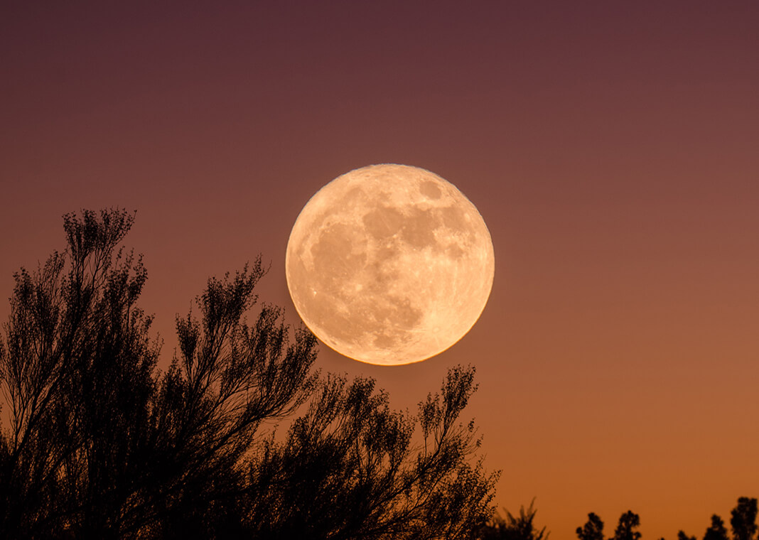 harvest moon - photo by Ganapathy Kumar on Unsplash