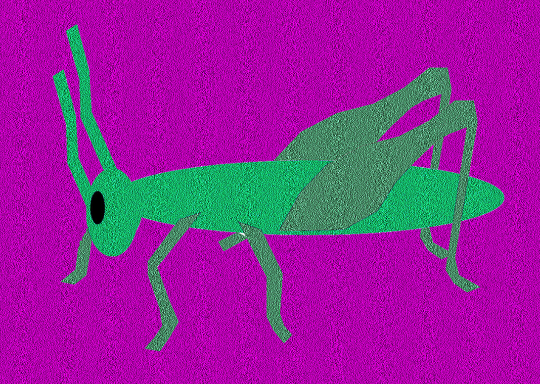 cricket - grasshopper - image by KERBSTONE from Pixabay