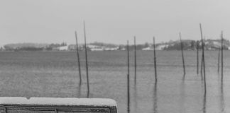 desolate winter scene of bench at water's edge - photo by Jan Huber on Unsplash