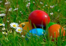 Easter eggs in grass - image by NickyPe from Pixabay
