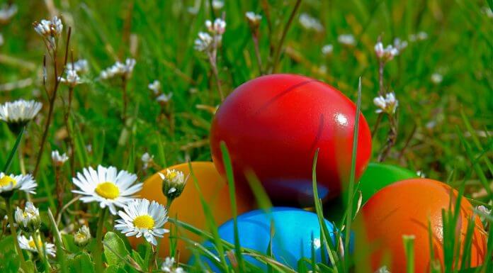 Easter eggs in grass - image by NickyPe from Pixabay