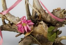 dying pink flower on tree branch - photo by Sahra Peterson on Unsplash