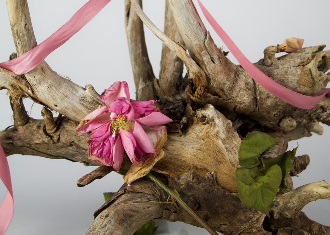 dying pink flower on tree branch - photo by Sahra Peterson on Unsplash