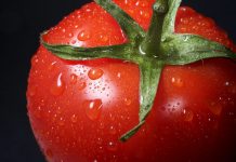 tomato - photo by Immo Wegmann on Unsplash