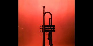 trumpet - photo by Luana Bento from Pexels