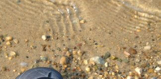 smooth stone with fish symbol on beach - Julie Hagan/Shutterstock.com