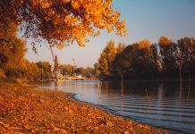 autumn lakeside - photo by Drazen Nesic on Pixnio