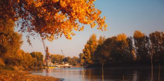 autumn lakeside - photo by Drazen Nesic on Pixnio