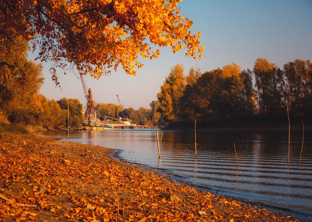 autumn lakeside - photo by Drazen Nesic on Pixnio