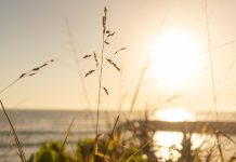 sunlight over water with grass in foreground - photo by Jenna Reivolahti on Unsplash