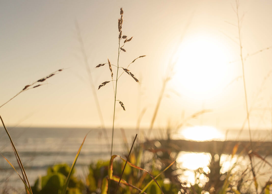 sunlight over water with grass in foreground - photo by Jenna Reivolahti on Unsplash