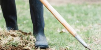 gardening - turning the soil with garden hoe - photo by Greta Hoffman from Pexels