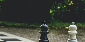 chess pieces - photo by Artur Roman via Pexels