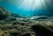 rocks at bottom of sea - photo by Yannis Papanastasopoulos on Unsplash