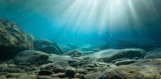 rocks at bottom of sea - photo by Yannis Papanastasopoulos on Unsplash
