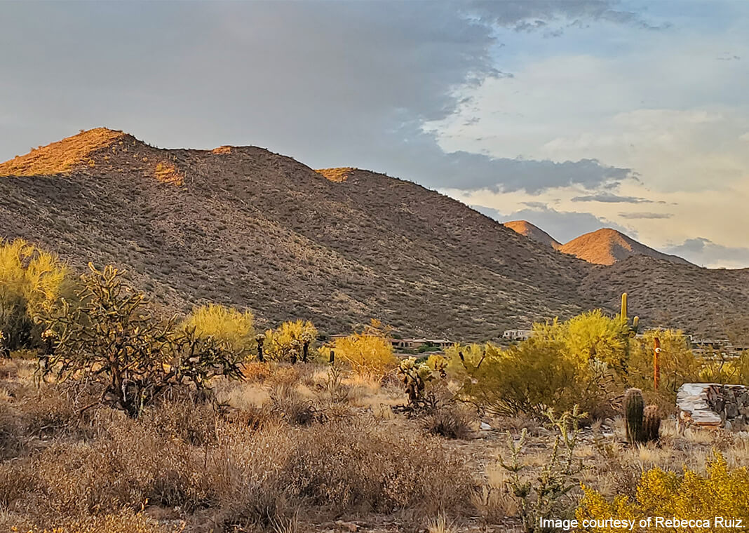 desert mountains - image courtesy of Rebecca Ruiz