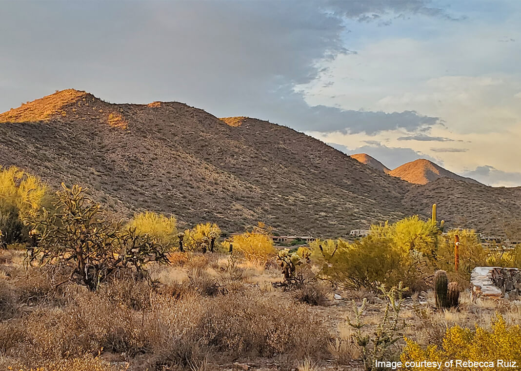 desert mountains - image courtesy of Rebecca Ruiz