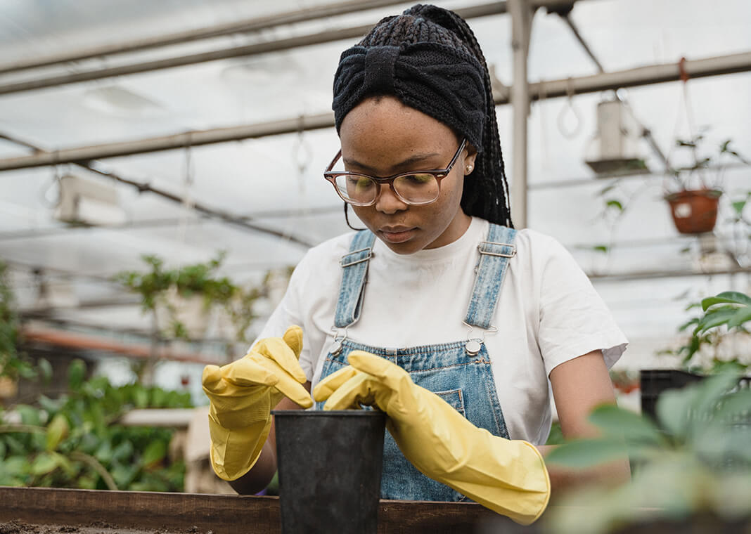 young woman in greenhouse putting soil in pot - photo by Tima Miroshnichenko on Pexels