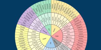 emotions wheel image by Sydtomcat, CC BY-SA 4.0 via Wikimedia Commons