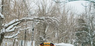 school bus on snowy day - photo by DA Capture on Pexels