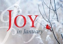 Joy in January - cardinal sitting on bare tree branch in winter