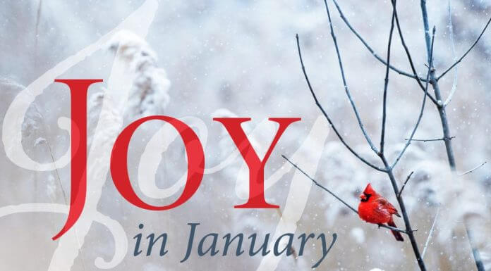 Joy in January - cardinal sitting on bare tree branch in winter