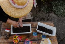 woman in straw gardening hat planting seeds - photo by Drazen Nesic on Pixnio