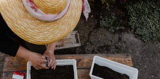 woman in straw gardening hat planting seeds - photo by Drazen Nesic on Pixnio