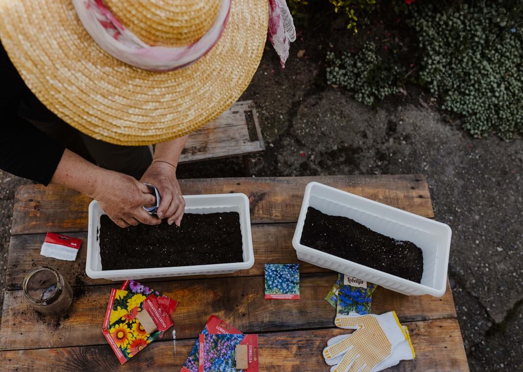 woman in straw gardening hat planting seeds - photo by Drazen Nesic on Pixnio