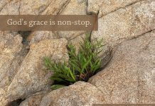Text: "God’s grace is non-stop." next to image of succulent plant growing in the nooks of the boulders - image courtesy of Marina Berzins McCoy