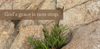 Text: "God’s grace is non-stop." next to image of succulent plant growing in the nooks of the boulders - image courtesy of Marina Berzins McCoy