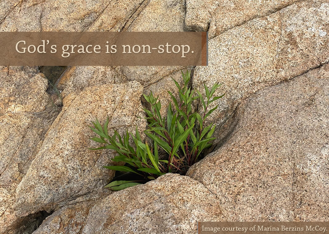 Text: "God’s grace is non-stop." next to image of succulent plant growing in the nooks of the boulders - image courtesy of Marina Berzins McCoy