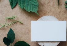 rectangle card and leaves - photo by PNW Production on Pexels