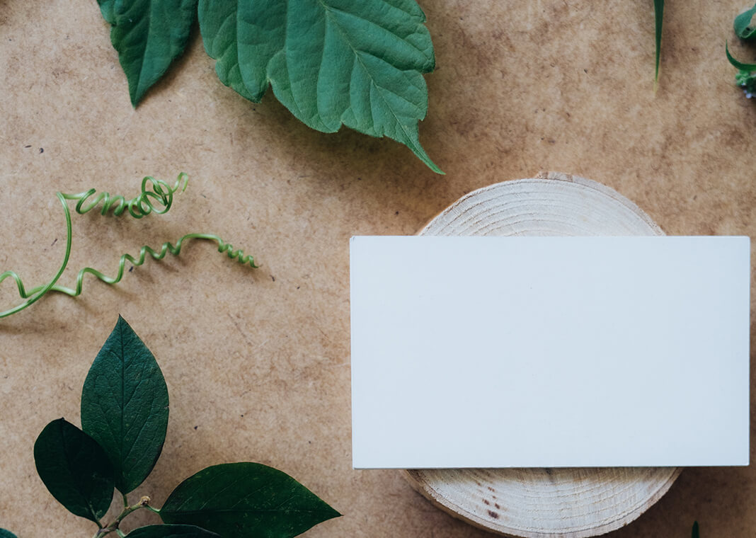 rectangle card and leaves - photo by PNW Production on Pexels