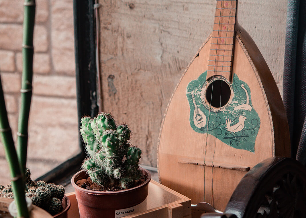 mandolin and cactus - photo by aslhndogan on Pexels