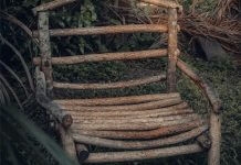 wooden chair in forest - photo by Abdul Azeez Garbadeen on Unsplash