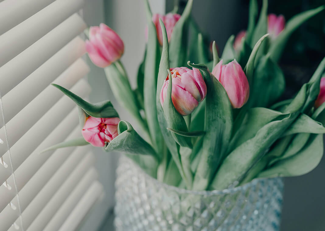 pink tulips in vase near window - photo by Lara Farber on Pexels.com