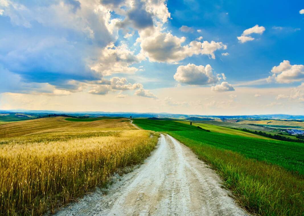 dirt road through farming fields - Marco Bicci/EyeEm/Getty Images