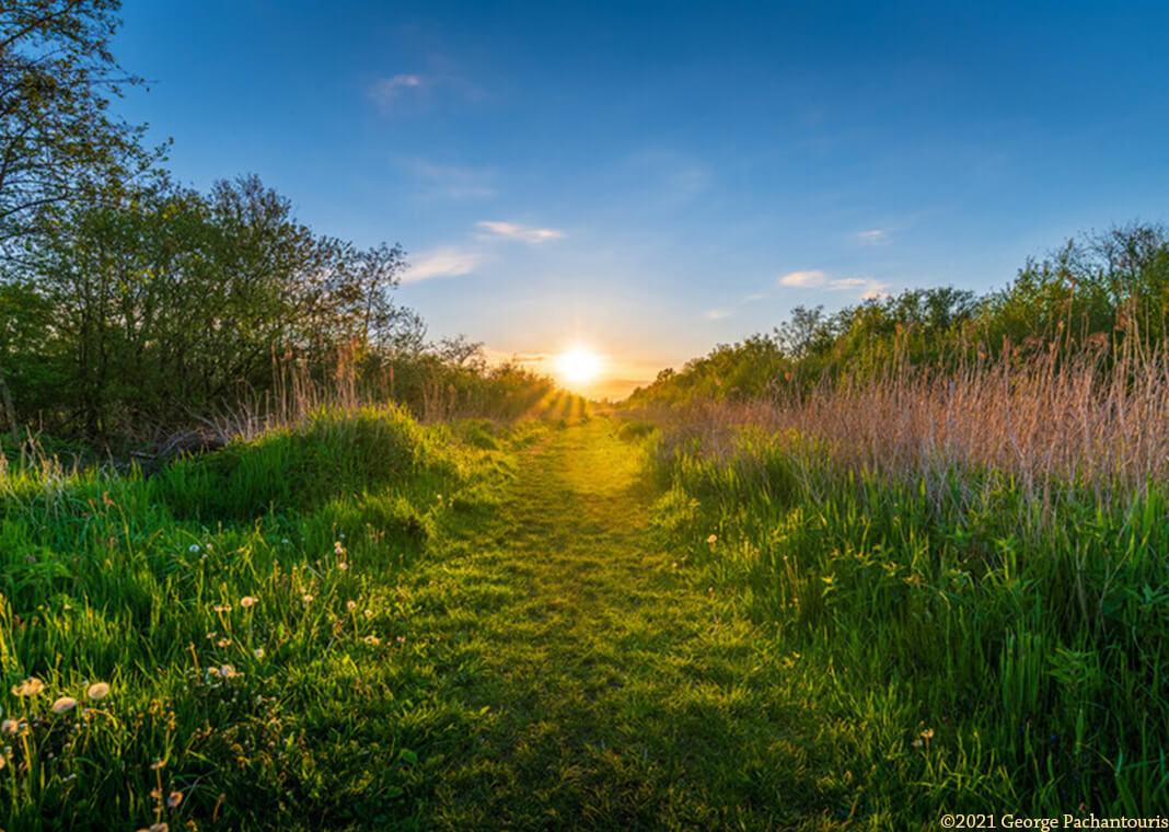 path cut in summer forest field - George Pachantouris/Moment/Getty Images