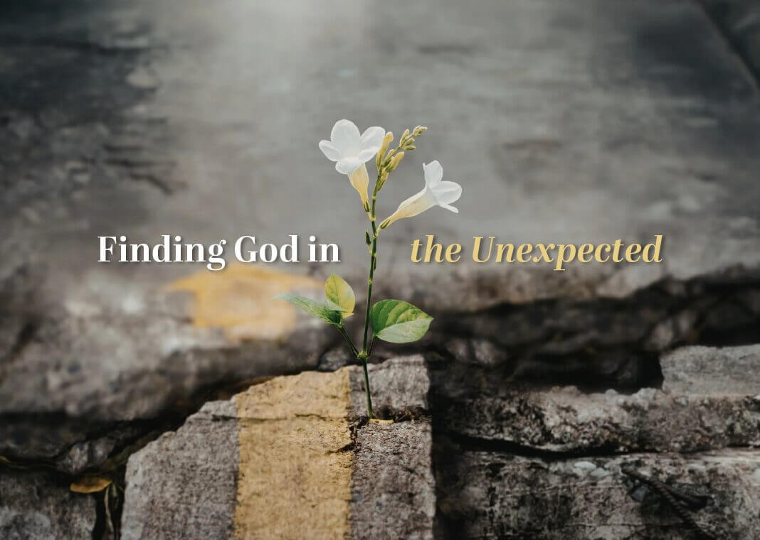 Finding God in the Unexpected - text above picture of flower breaking through the road