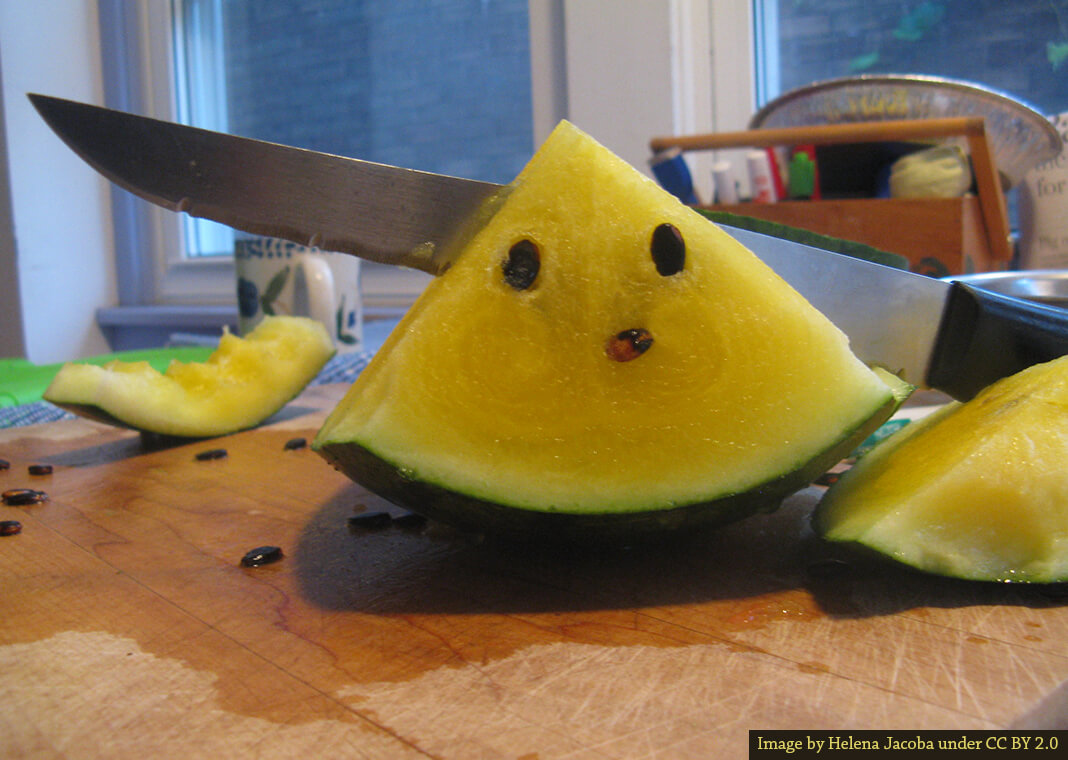 yellow watermelon - image by Helena Jacoba under CC BY 2.0 via https://www.flickr.com/photos/69302634@N02/20744929274