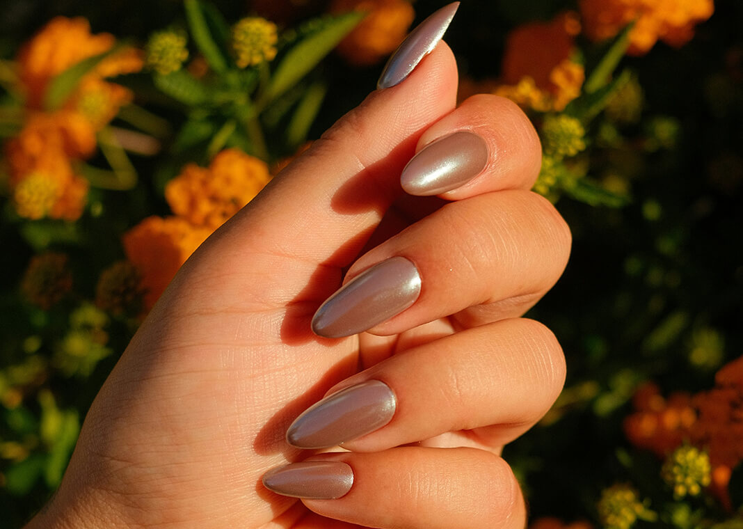 nail-polished hand in front of autumnal flowers - photo by Caroline Badran on Unsplash